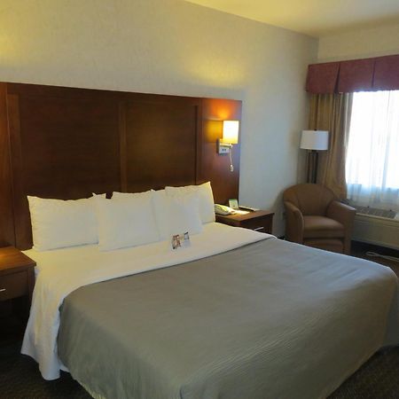Comfort Inn San Jose International Airport Room photo